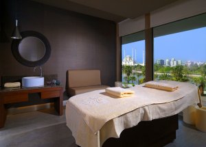 Sheraton Grand Adana Otel Official Photos